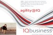 IIBA SA Agile Business analysis workshop 18032014