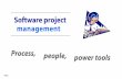 Software project management Process, people, power tools
