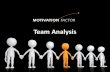 Motivation Factor Team Analysis
