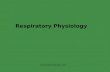 Physiology Of Respiration
