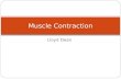 Muscle contraction types and all or none law