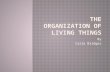organization of living things