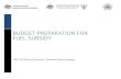 Budget Preparation for Fuel Subsidy