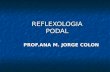 Copy Of Reflexologia