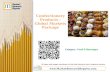 Confectionery products   global markets package