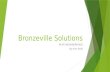 Bronzeville solutions