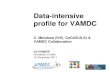Data-intensive profile for the VAMDC