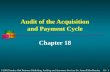 Audit of the acquisition and payment cycle