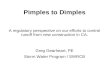 Pimple dimples eureka2013