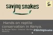 'Saving Snakes - 2014' by Royjan Taylor