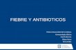 Fiebre y antibioticos