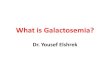 What is galactosemia