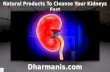 Natural Products To Cleanse Your Kidneys Fast