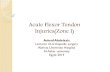 Acute flexor tendon injuries z 1