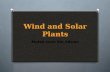 Wind and Solar Plants
