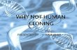 Why not human cloning