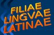Filiae Linguae Latinae