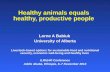 Healthy animals equals healthy, productive people
