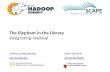 The Elephant in the Library - Integrating Hadoop