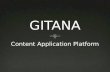 Gitana Repository