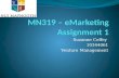 Mn319 – e marketing