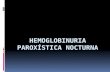 Hemoglobinuria ParoxíStica Nocturna