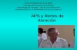APS - Teórico 2011