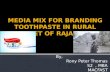 Toothpaste market mix in rajasthan
