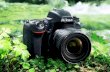 Nikon launches D750 Digital SLR Camera with 24.3MP CMOS Sensor
