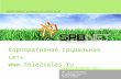 Tele2sales.ru: successful corporate social network