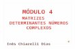 Implementação Currículo - módulo4 - Matrizes/Nºs Complexos