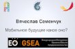 The future of mobile apps by Вячеслав Семенчук