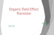 Organic Field Effect Transistor