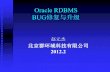 5. Oracle RDBMS BUGS 修复与升级 (25 页）