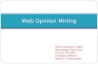 Web Opinion Mining - Presentation