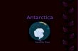 Antarctic - Panoramic