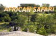 African safari...