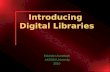 Aksum University digital libraries