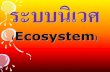 ระบบนิเวศ (Ecosystem)