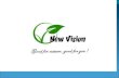 Our company New Vision