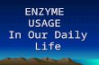 5. Enzyme Usage In Our Daily Life