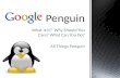 Google Penguin: What Is It, Why Should You Care & What Can You Do?