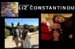 Liz Constantinou Visual Resume