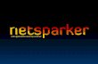 Netsparker - Hosting Zirvesi 2010
