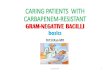 Caring patients  with carbapenem resistant gram-negative bacilli