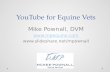YouTube For Equine Veterinarians