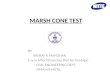 Marsh cone test