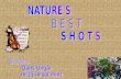 Natures Best Shots... (Nx Power Lite)