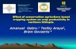 Effect of conservation agriculture based cropping system on crop productivity in northern Ethiopia
