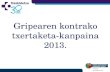 Gripearen kontrako txertaketa-kanpaina 2013.